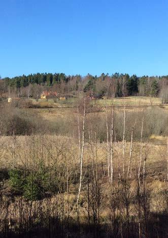 Mellan trädzoner och det öppna landskapet växer främst älgört, säv och kaveldun med inslag av fackelblomster, starrarter och enstaka sälgbuskar. Det finns en del död ved i området.