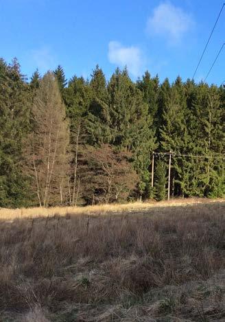 FORMIE 2a FORMIE Potential: Inga höga naturvärden Möjlighet att spara befintlig vegetation/skogsbryn för att bädda in byggnader vilket då inte stör landskapsbilden för omgivande bebyggelse.