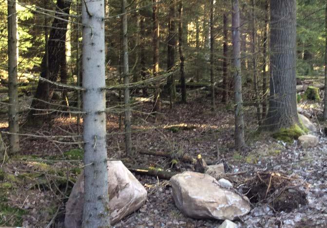 Den kuperade granskogen är markerad i gult. Tät granskog med begränsad markflora. Känslighet: Bergschakt kan lämna fula sår i landskapet.
