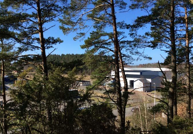 3 ATURTYPER 3.4 BLADSKOG SKOGSVÄG PLAOMRÅDE Området består av väldigt fin, typisk bohuslänsk gles blandskog med partier av öppen hällmark och berg i dagen.