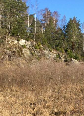 jordbruksmark med gårdar. Att ta vara på utblickar mot öst för att stärka den visuella upplevelsen för de anställda. Inga naturvärden.