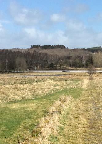 3 ATURTYPER 3.7 ÖPPE ATURMARK Området består av en öppen naturmark. I västra delen av området finns en bilverkstad.
