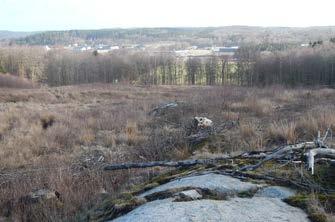 De gröna områdena på kartan visar vegetation som bör bevaras, dels för att dölja industrin men även för visuella värden och rekreationsmöjligheter för de anställda.