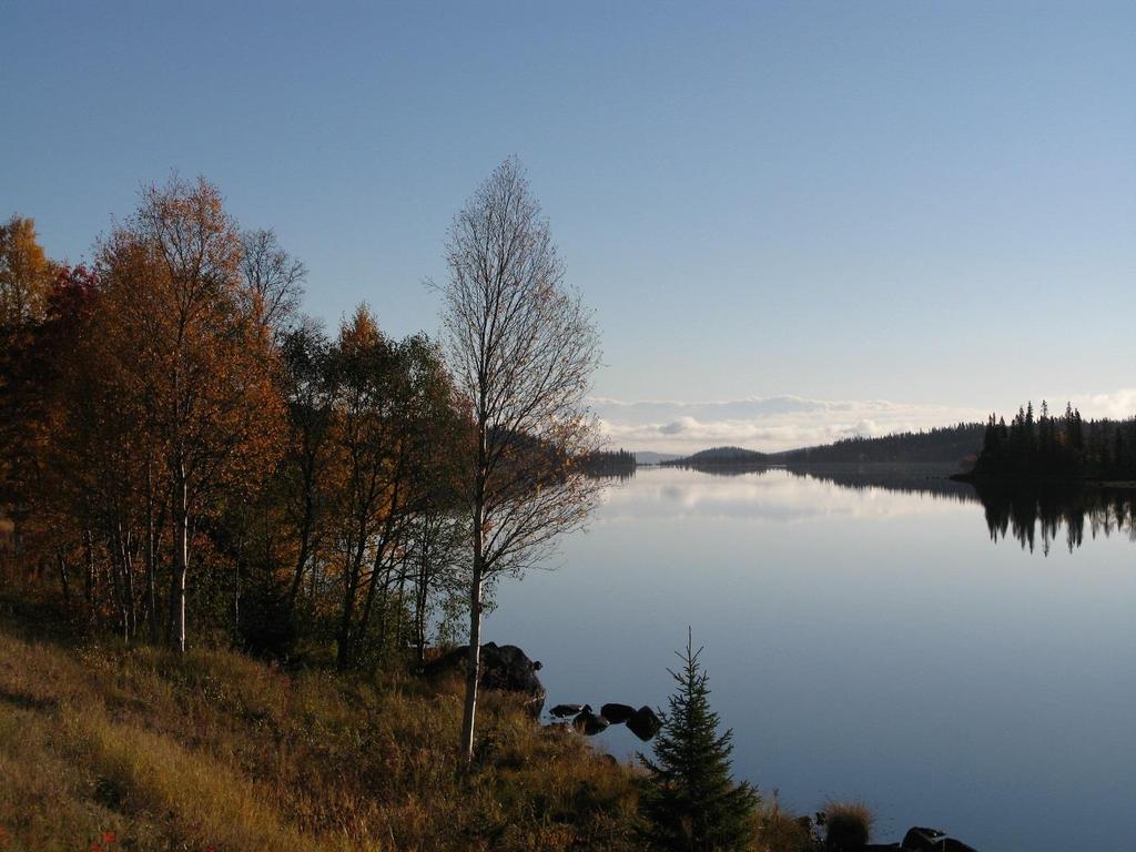 Sammanställning av