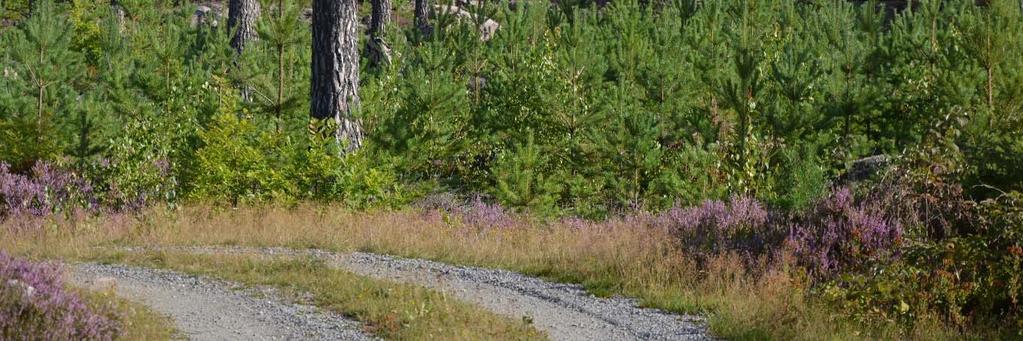 Försäljningssätt: Skriftligt bud oss tillhanda senast 2017 09 20 Skog och