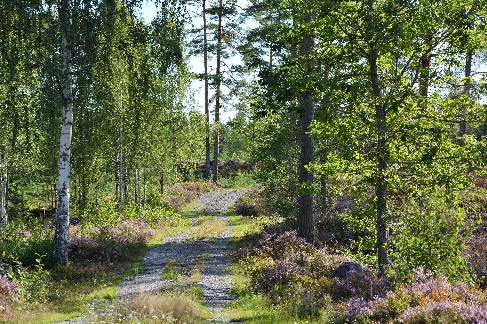 Nybro Holmaryd 1:8 Nybro Holmaryd 1:8 Om fastigheten Typ: Skogsgård Mark: 76 ha Pris: Högstbjudande