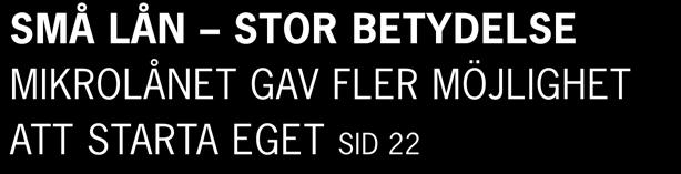 OCH FRAMGÅNG VERKSAMHETEN 2007 SID 12 Små lån Stor betydelse