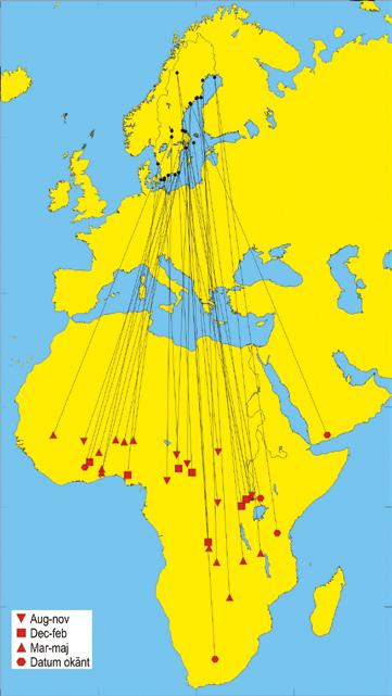 se överlevnad via ålders- och könsskillnader. Åldersbestämning görs huvudsakligen utifrån fjäderdräktens status.