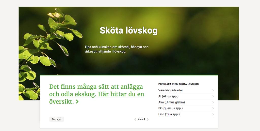Mats Hannerz 2018-02-27 Eksidor i Skogskunskap Informationen om ek och ekskogsskötsel ingår i sektionen Sköta lövskog i Skogskunskap.se. Sektionen samlar fakta och skötselråd om lövskogsbruk av både ordinära (björk, al, asp) och ädla lövträd.