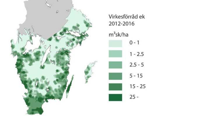 1600, och 20 % jämfört med från år 200 e.kr. I den temperade zonen (lövskogsregionen) är nivåerna 60 % respektive 35 %, där är alltså eken fortfarande vanlig.