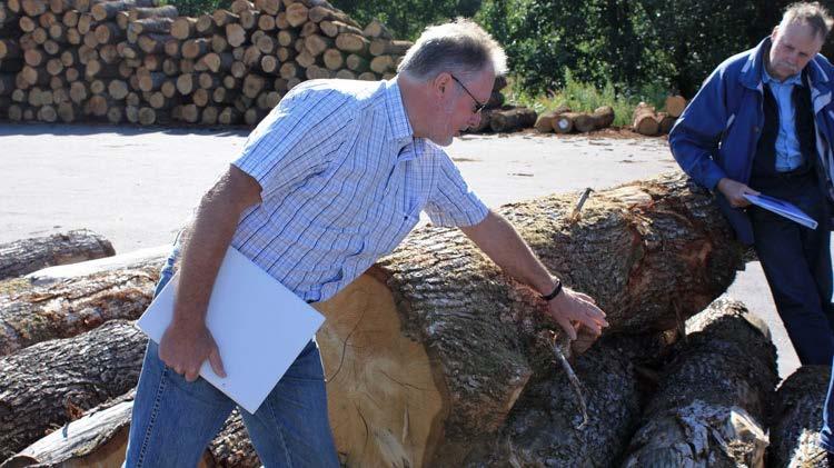 Virkesfel och tillredning Fel på timmerstocken kan dra ner värdet. Det är bra att ha koll på de viktigaste felen. En del är svåra att göra något åt, medan andra beror på tillredningen av stockarna.