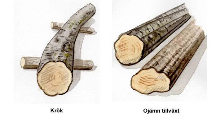 önskvärda. När träden växer vrider de sig ofta åt något håll, s.k. fibervridning (se övre bilden). Den är normalt liten, speciellt hos björk och asp, och medför nedklassning endast om den år påtaglig.