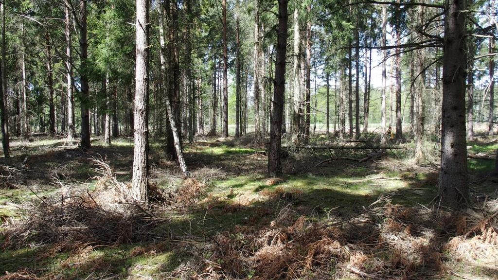 Inledning och syfte På uppdrag av Kalmar kommun har Ekologa genomfört en naturvärdesinventering, enligt Svensk standard SS 199000:2014 av ett mindre avgränsat område på fastigheterna Kläckeberga 10:1