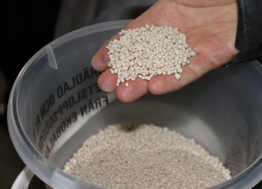 Återvinningsprodukter med högre värde Struvit (P) Produktion av alg-biomassa