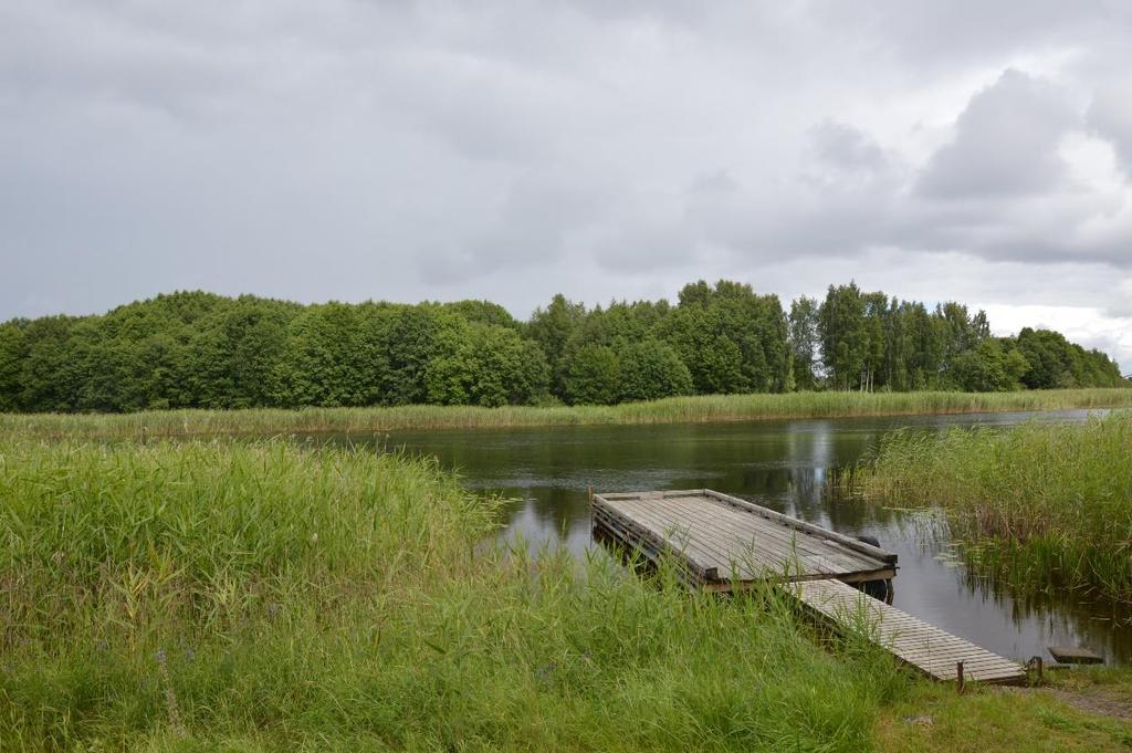 Manuell inventering Manuell inventering utförs genom en rekognosering av området inom vilket särskilt intressanta habitat kartläggs.