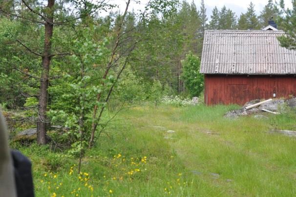 bland annat större, äldre byggnader, grottor, hålträd,