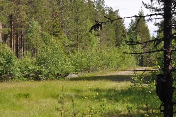 åkerlandskap.