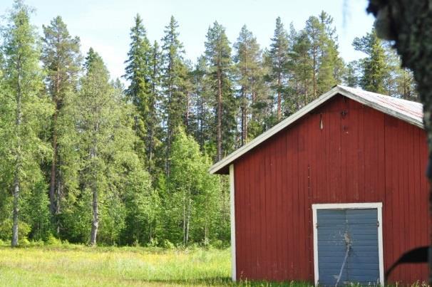 Europa tyder studier på att även, mer eller mindre, stationära arter drabbas i lika hög grad och att dödligheten främst är kopplad till fladdermössens jaktbeteende (Rydell m fl 2010b).