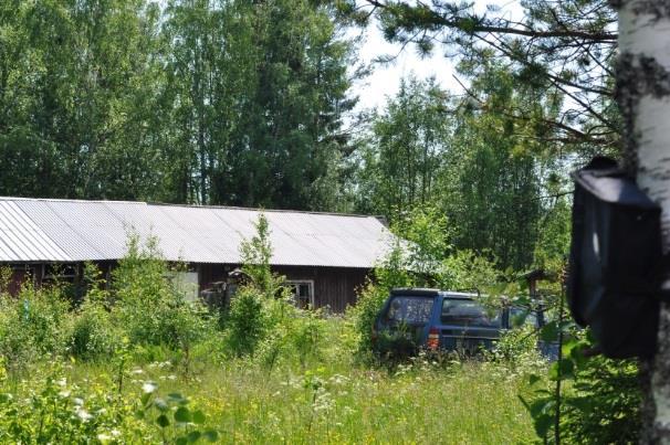 Vy från box 16, 27 (figur 2, bilaga 1). Bild 14. Vy från box 17 (figur 2, bilaga 1).