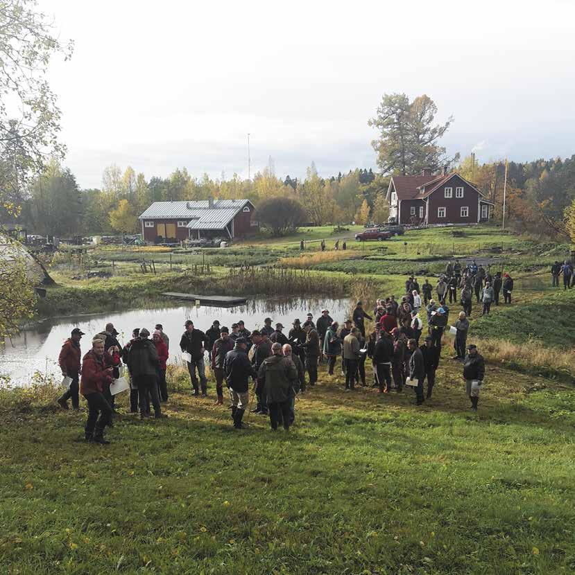 12 SKOGSFÄRDIGHETSTÄVLING FÖR SKOGSÄGARE Hansas, Sibbo 12.10.2017 Individuella tävlingen för skogsägare (74 deltagare) Namn Förening Stämpling Värdering Totalt 1.