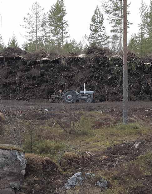 4 Marknadsutsikter 2018 Text: Magnus Wiksten År 2017 var ett år med sällsynt dåliga drivningsförhållanden. Vintern var kort och i praktiken fanns ingen tjäle.
