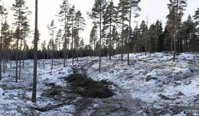 5 långsammare i Finland än i konkurrerande länder under 2018, vilket stöder exportens utveckling.
