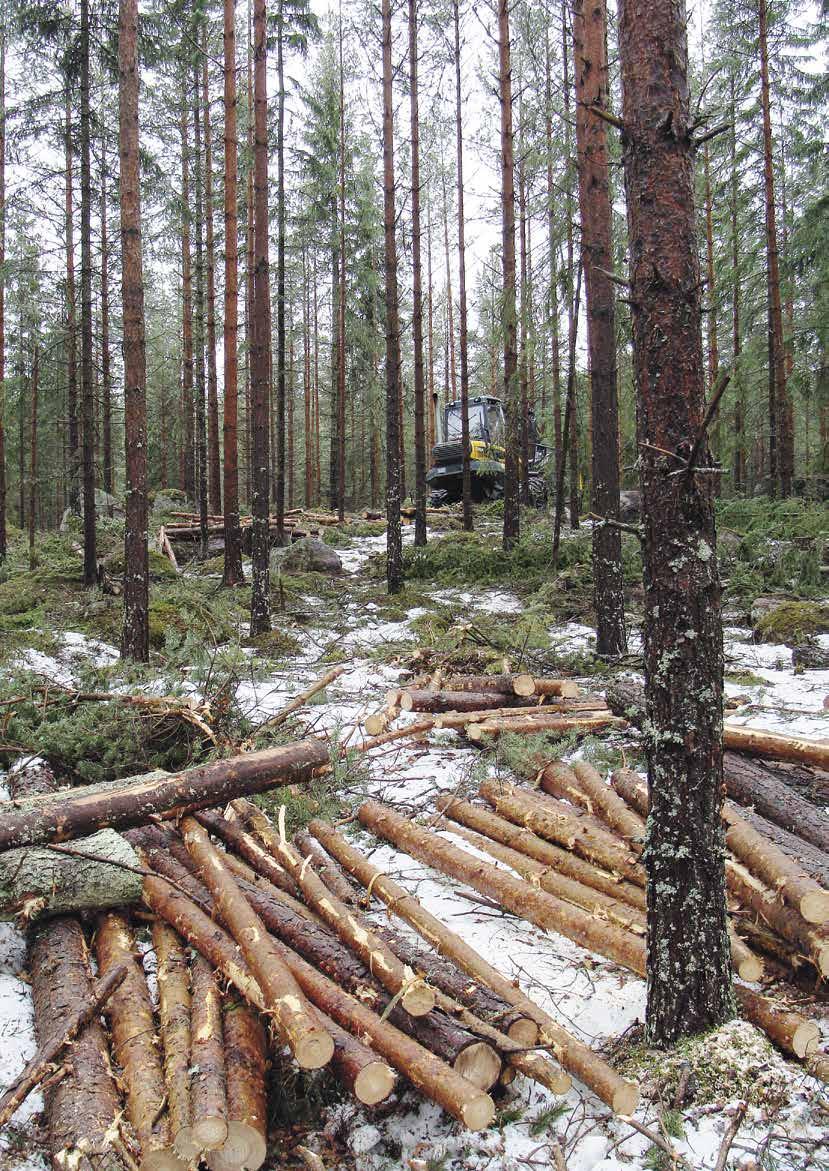 8 MERVÄRDE ÅT DIN SKOG Skogsreviret står till tjänst Gratis rådgivning och lägenhetsbesök för alla medlemmar Skogsvård Virkesförmedling med konkurrenskraftiga sortimentsvisa priser