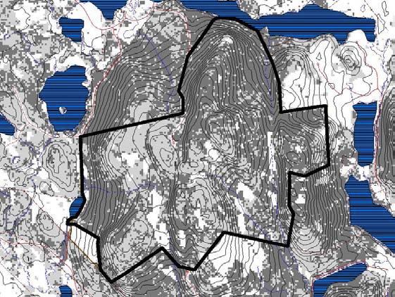 Figur 2. Tolkad sattelitbild som visar fördelningen av gran- och tallskog inom naturreservatet.