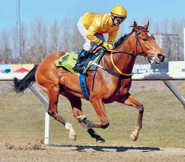 DERBYBANAN JÄGERSRO NR ONSDAG APRIL 08 KL.0 JÄGERSRO GALOPP Sju lopp med V i lopp - och V i lopp -!