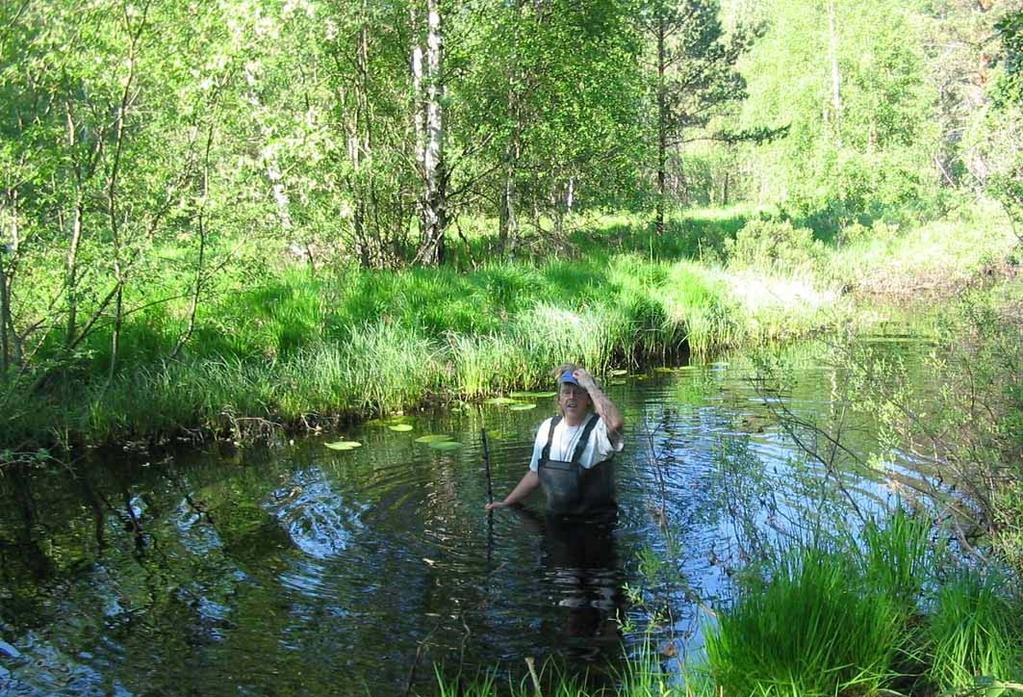 Dnr 577-11784-05 6 SLUTSATSER 6.1 Undersökningar 2006 Genomförda undersökningar visar på kraftig föroreningspåverkan från flera av de studerade glasbruksobjekten.