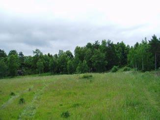 Längs den norra åkerkanten rinner en bäck och på andra sidan har marken jämnats ut till en fotbollsplan, varmed schaktmassor tagits från en nordsluttning intill den norra bergskanten.