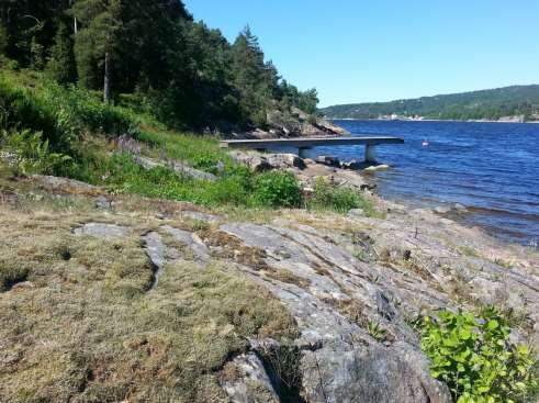 Bild 2. Hällmarker och trädgårdsmiljöer vid Solvik där ca 10 ägg av fetörtsblåvinge noterades 2016.