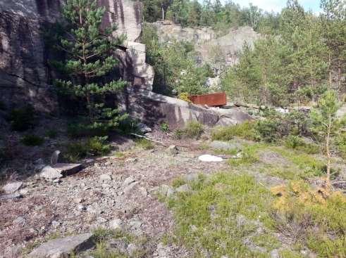 Bild 5. Nya fynd gjordes av ägg från fetörtsblåvinge i det gamla stenbrottet vid lokal 13.