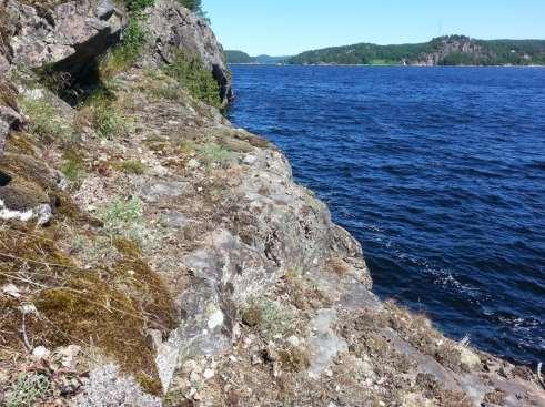 Översiktlig beskrivning Idefjorden tycks ha ett gynnsamt lokalklimat för fetörtsblåvinge.