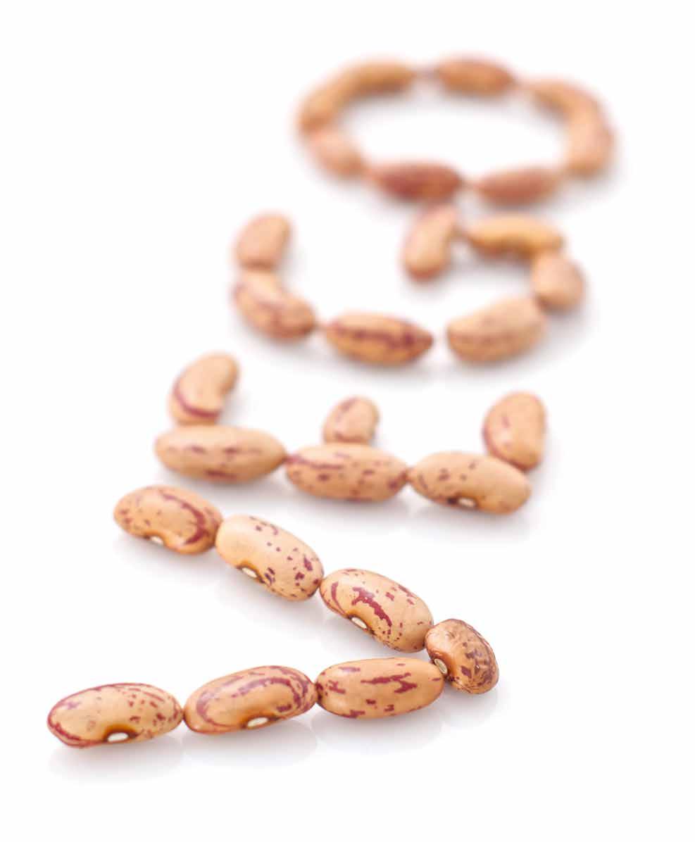 Vegetarisk mat Allt fler väljer att äta mer av vegetarisk mat. Det är bra både för hälsan och miljön. Därför är det bra om ditt barn tidigt får lära sig att tycka om olika vegetariska rätter.