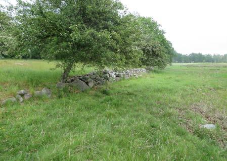 vallgrav mot