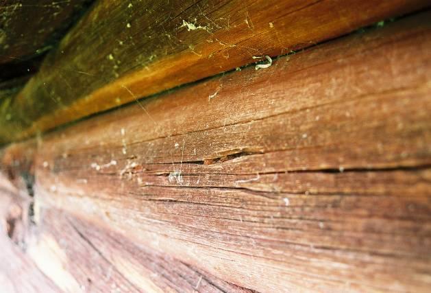 Bild 17. En mängd små kilar är inslagna i de översta stockarna. Jlm 06m56/6 Bild 18. Detalj på droppnäsa på E8.