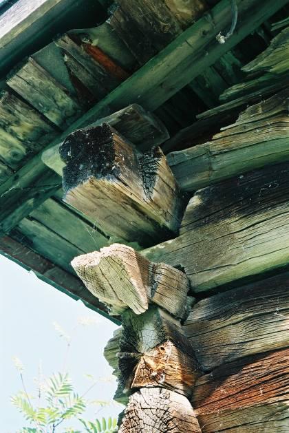 Bild 31. Detalj av väggbandets och underliggande stocks knutskallar.