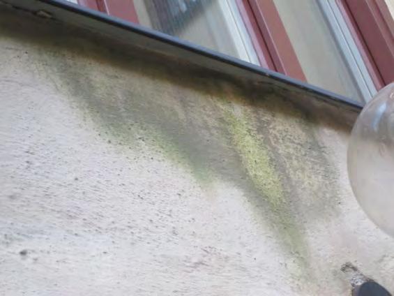 Utöver det rent estetiska med rena och målade putsfasader skyddar färgen från alltför hög fuktbelastning av fasaderna som kan leda till kostsamma frostsprängningar.