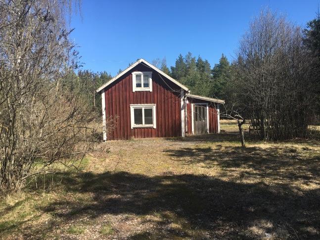 Det med hänsyn till prisutveckling justerade nyckeltalet för köpeskillingen uppgår till nivån 520 kr/m³sk och 110 000 kr per ha.