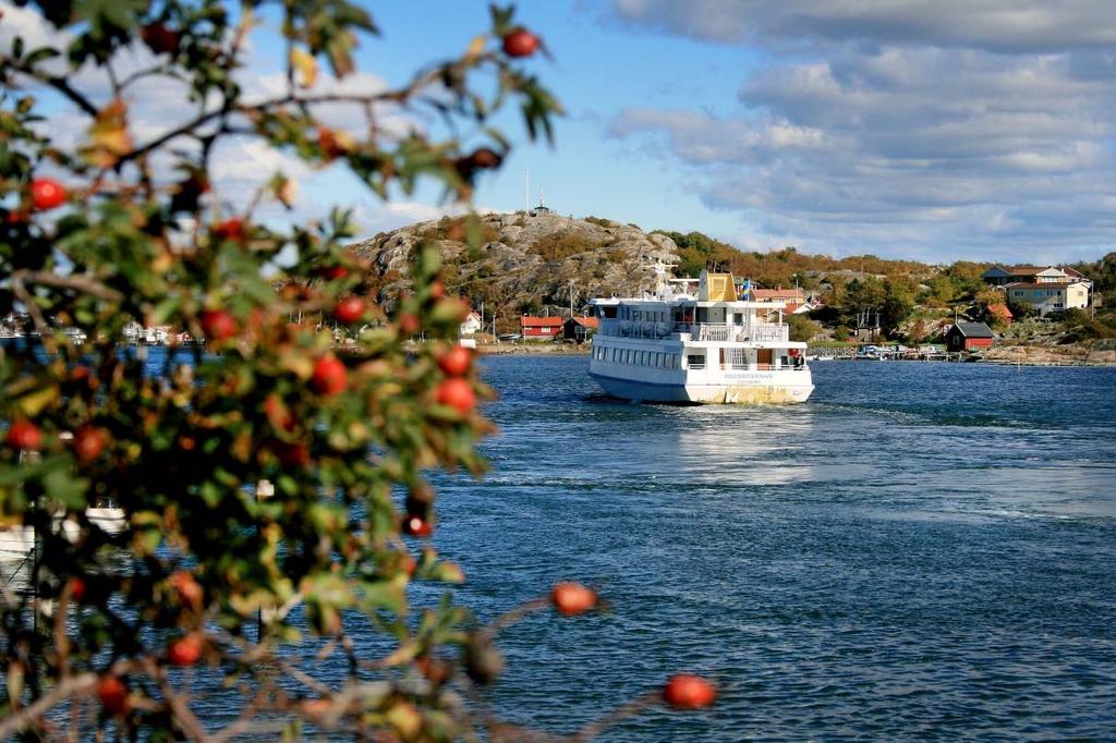 Övergripande utvecklingsplan för kollektivtrafiken 2017-18 Planeringsförutsättningar inför