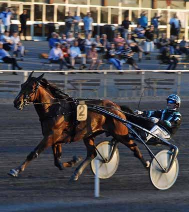 HalmstadTravet Måndag maj Första start kl.