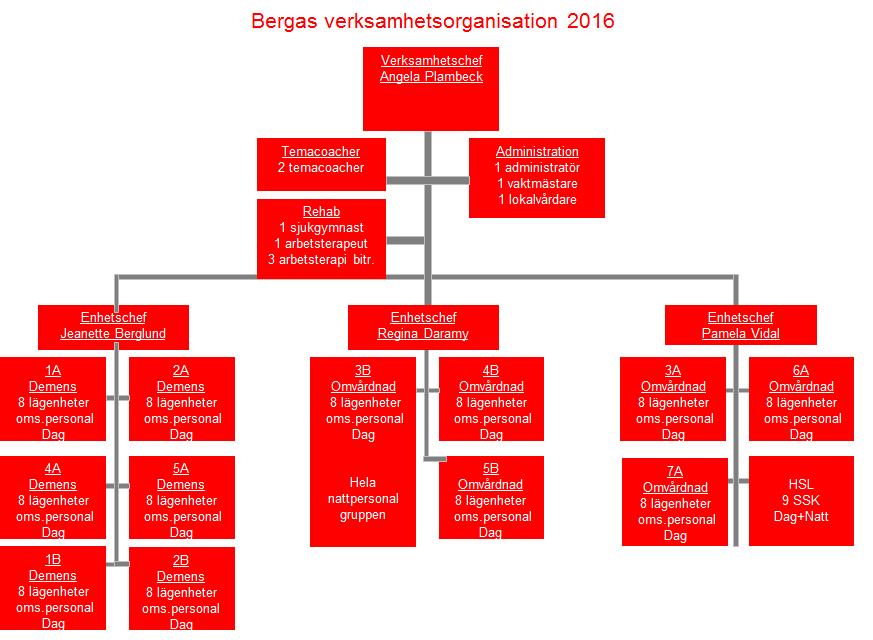 Kvalitetsberättelse Berga 2016 6 Vår organisation Huvudansvarig för kvalitetsarbete Temabo startade 2007 med målet att bryta med gamla tankesätt och utveckla äldreomsorgen så att den äldre människan