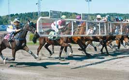 Furyk 6 0-0-0 18, 6 100 * Hästen är inte svenskregistrerad/svensktränad MONTÉINFORMATION Ryttare Bana Montéstarter % Prissumma Carre Jonathan a U 101 11-1-10 11 1 0 66 Forsner Caroline a U 18 2-2-12