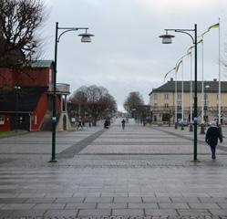 Både standardstolpar som är varmförzinkade men även lackerade gröna och gråa stolpar finns att hitta.