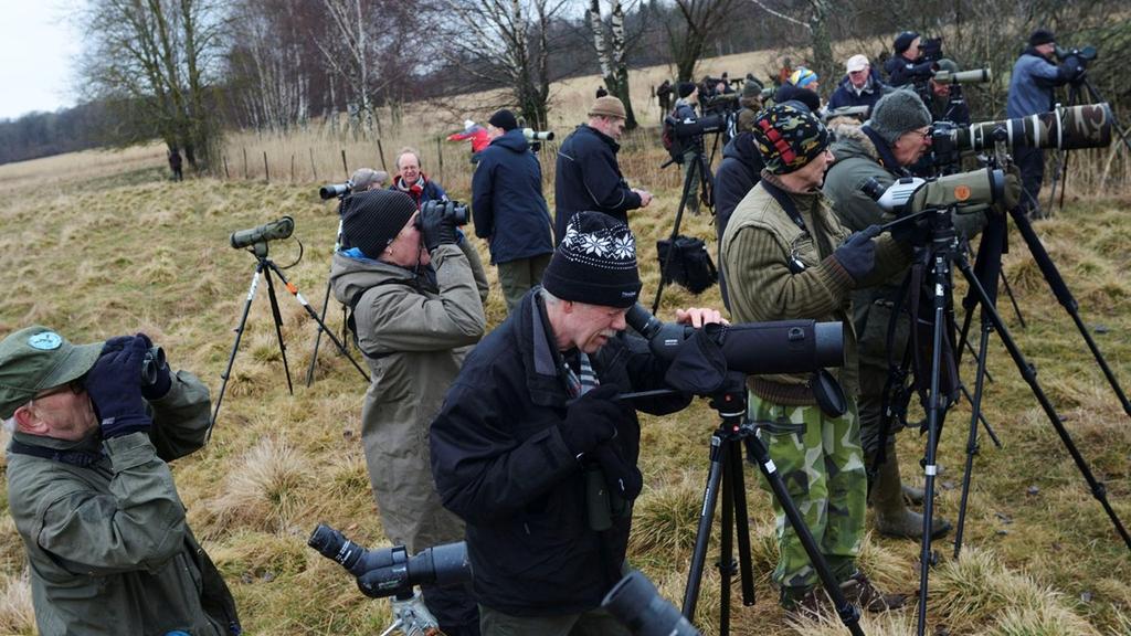 Det har blivit en modern hobby som bygger på mycket kunskap och individuella upplevelser. Allt enligt etnologen Susanne Nylund Skog i Vetandets Värld P1.