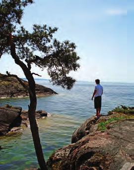 HEMGÅRDEN, ROBERTSONS, EGET NATURBETESKÖTT äggboden stjernsund Vägbeskrivning &