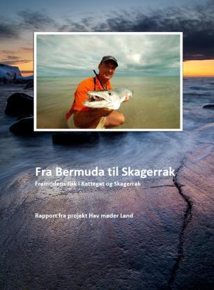 AU (PG) har skrevet en populærvidenskabelig artikel omkring klimaforandringer og fisk som under projektperiod 6 publicerades som en rapport Fra Bermuda til Skagerrak.
