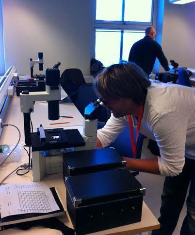 Utvärdering och tolkning av resultat på laboratoriet i samband med workshop Interkalibrering av metod för stressmarkör