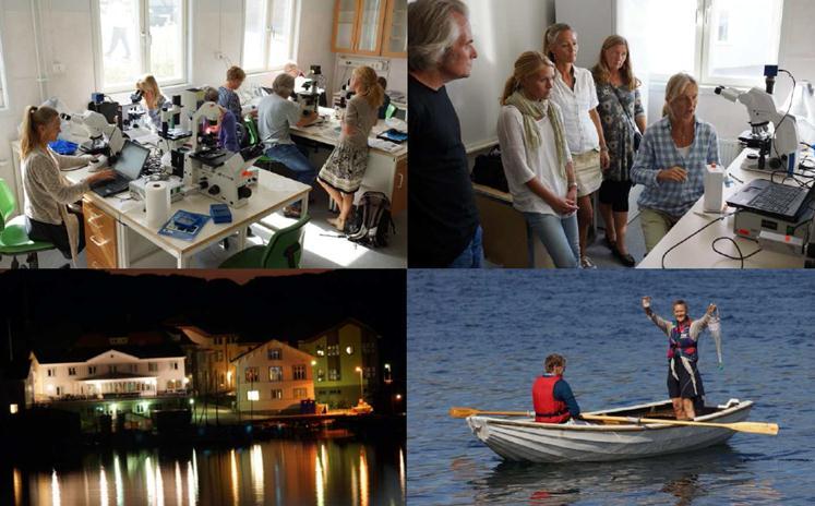 Nästa möte är planerat att äga rum i Norge hösten 2014. Workshopen genomfördes av Hav möter Land i samarbete med Svenska Lifewatch.